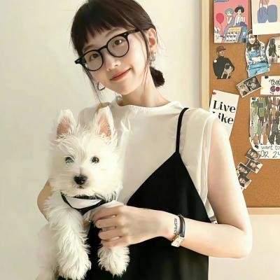 越狱特别篇:最后一越